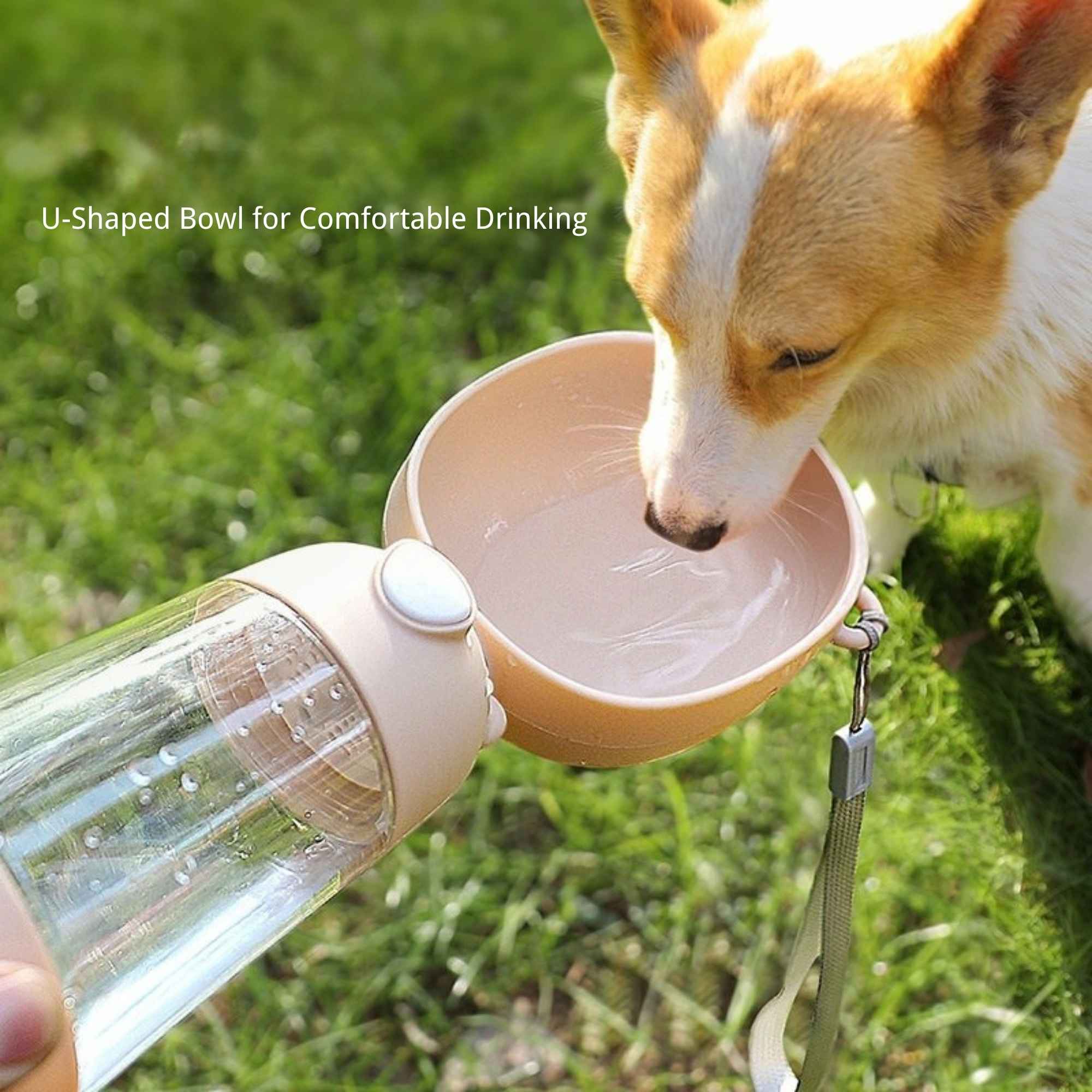 Dog drinking water from a portable dog and cat water bottle with a U-shaped bowl outdoors.