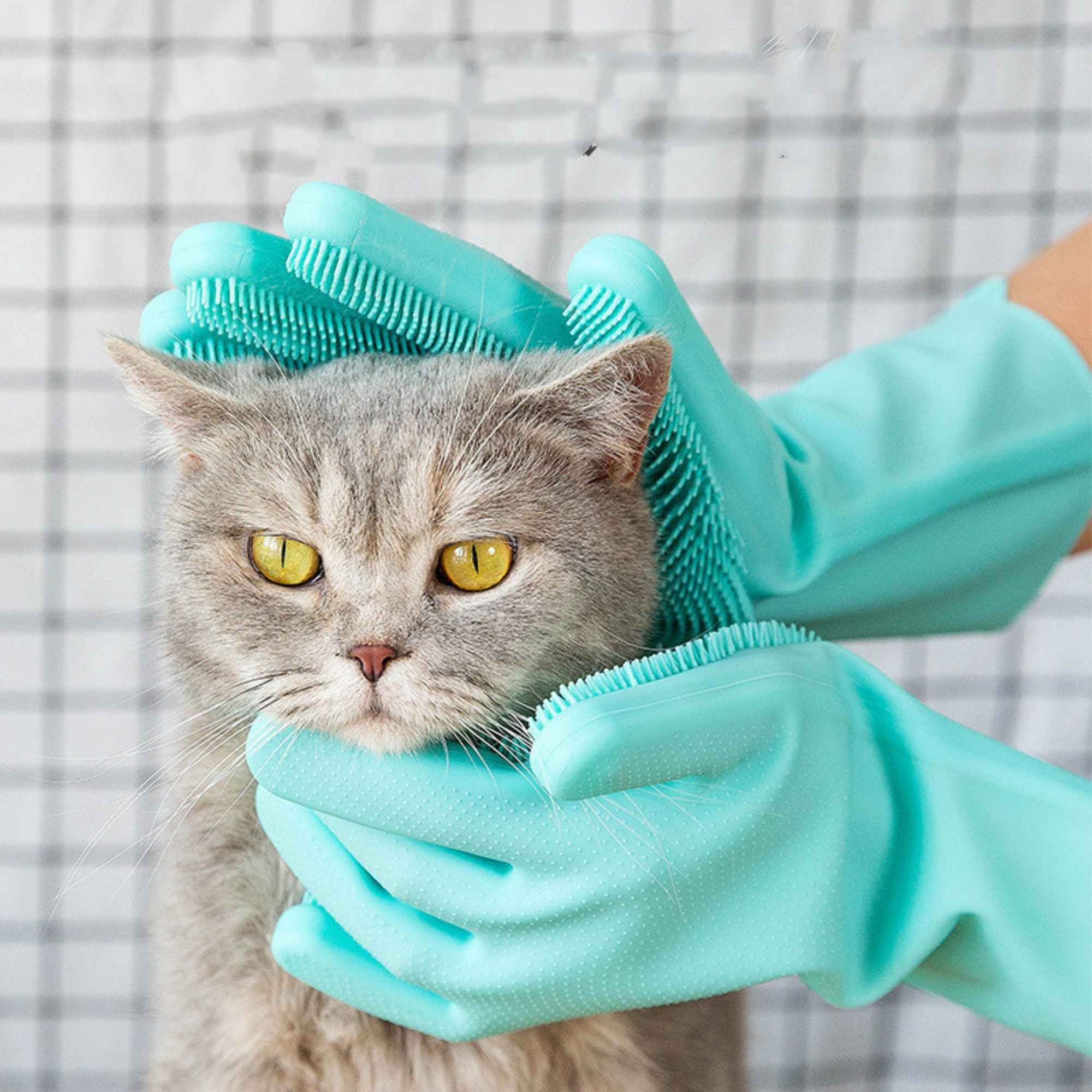 Silicone grooming gloves gently brushing and massaging a cat with soft silicone bristles.