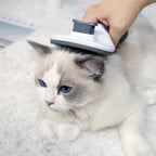 Gray self-cleaning pet slicker brush brushing a long-haired cat.